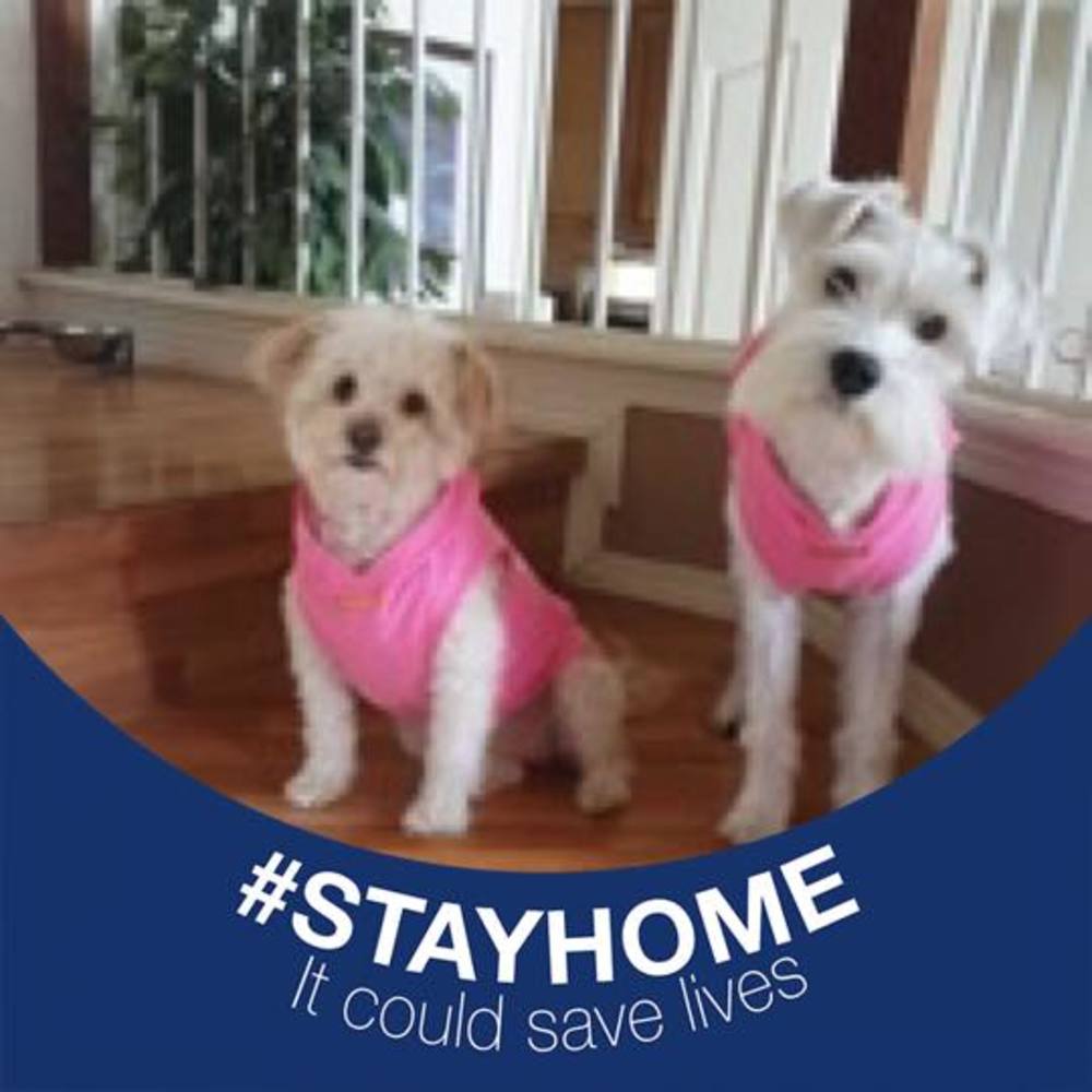 Meet your Posher, Tina